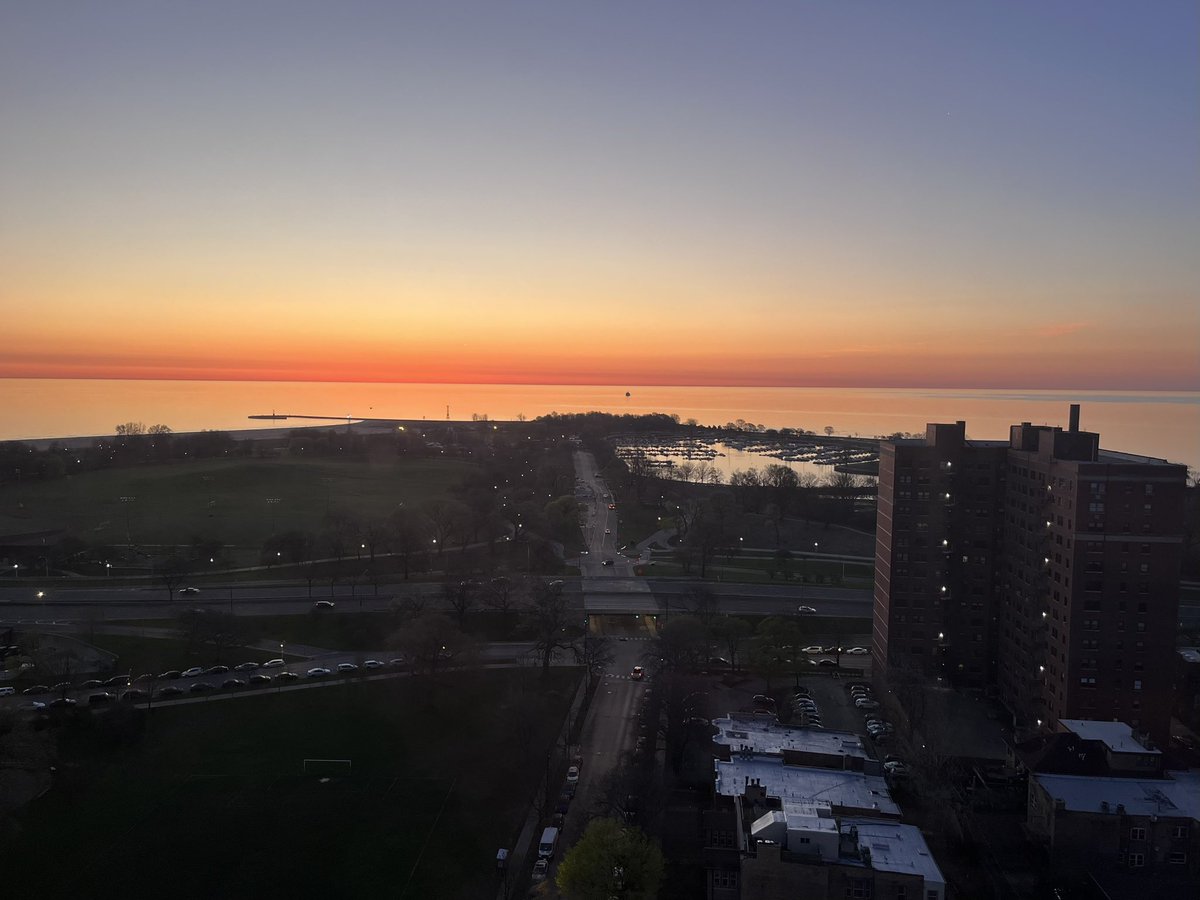 Nick Meshes tweet media