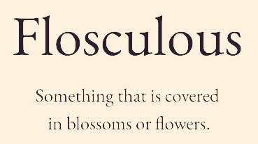 Cian McCarthy tweet media