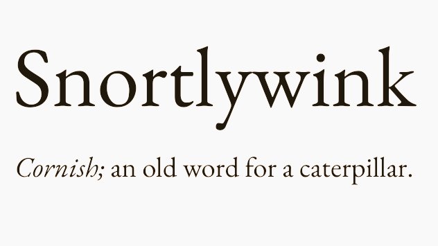 Cian McCarthy tweet media