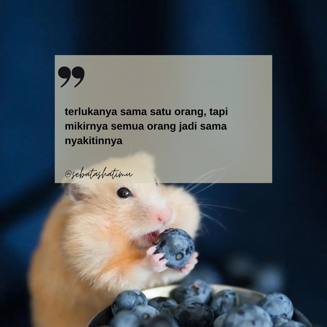 terlukanya sama satu orang tapi mikirnya smua orang sama aja