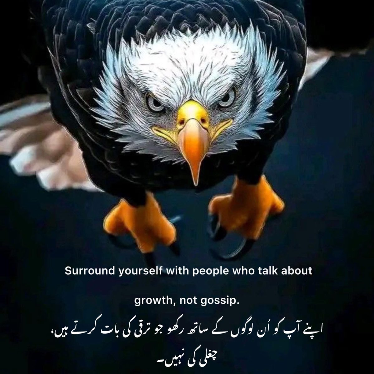 Taswar Sial (@taswarsial) on Twitter photo 