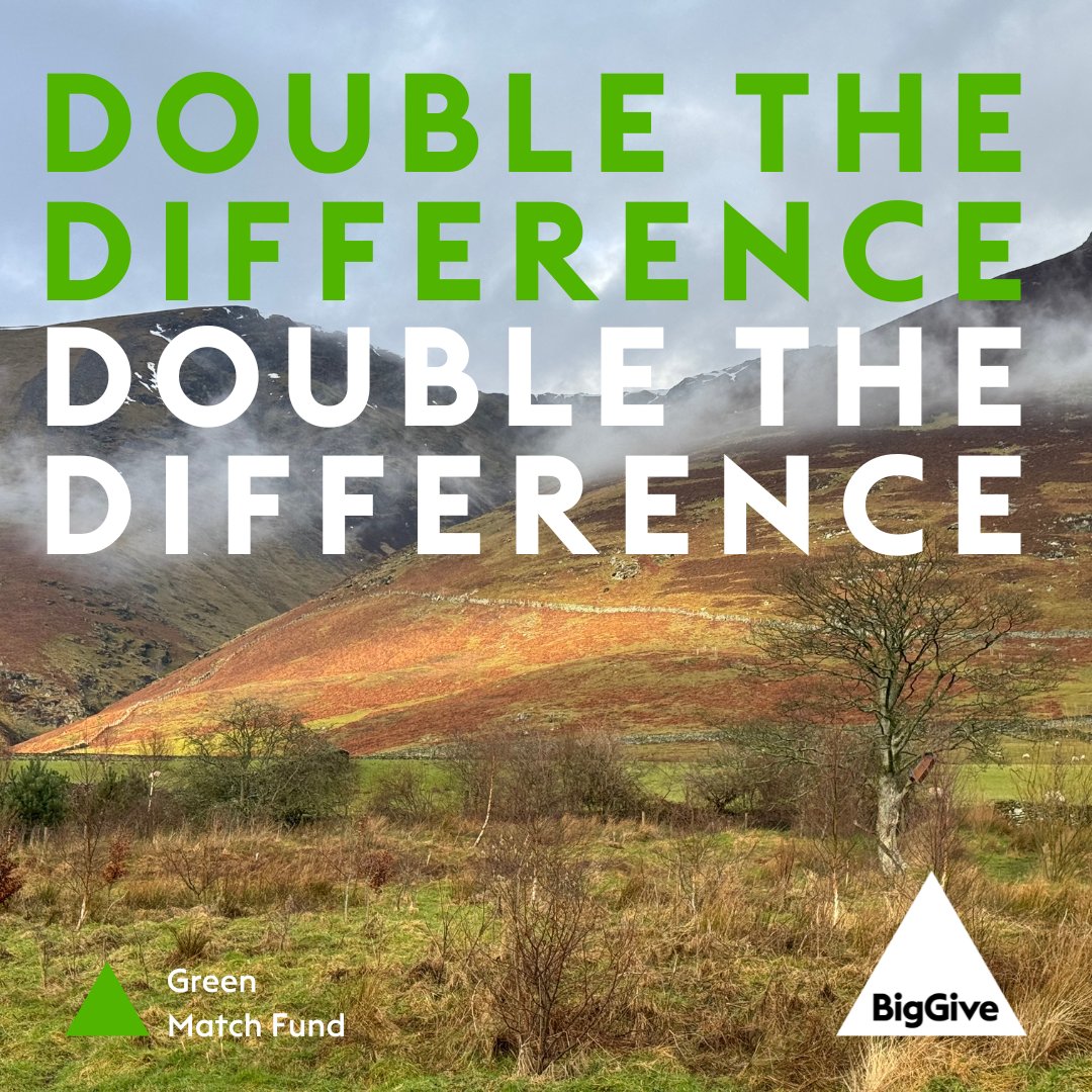 FriendsofLakes's tweet photo. The Big Give #GreenMatchFund is live! Every donation made to our appeal will be DOUBLED, helping us to restore nature and access to Dam Mire Wood in #TheLakeDistrict. Can you help us achieve our goal? #BigGive https://t.co/zuYIEnWAiI https://t.co/fLuLNInpfu