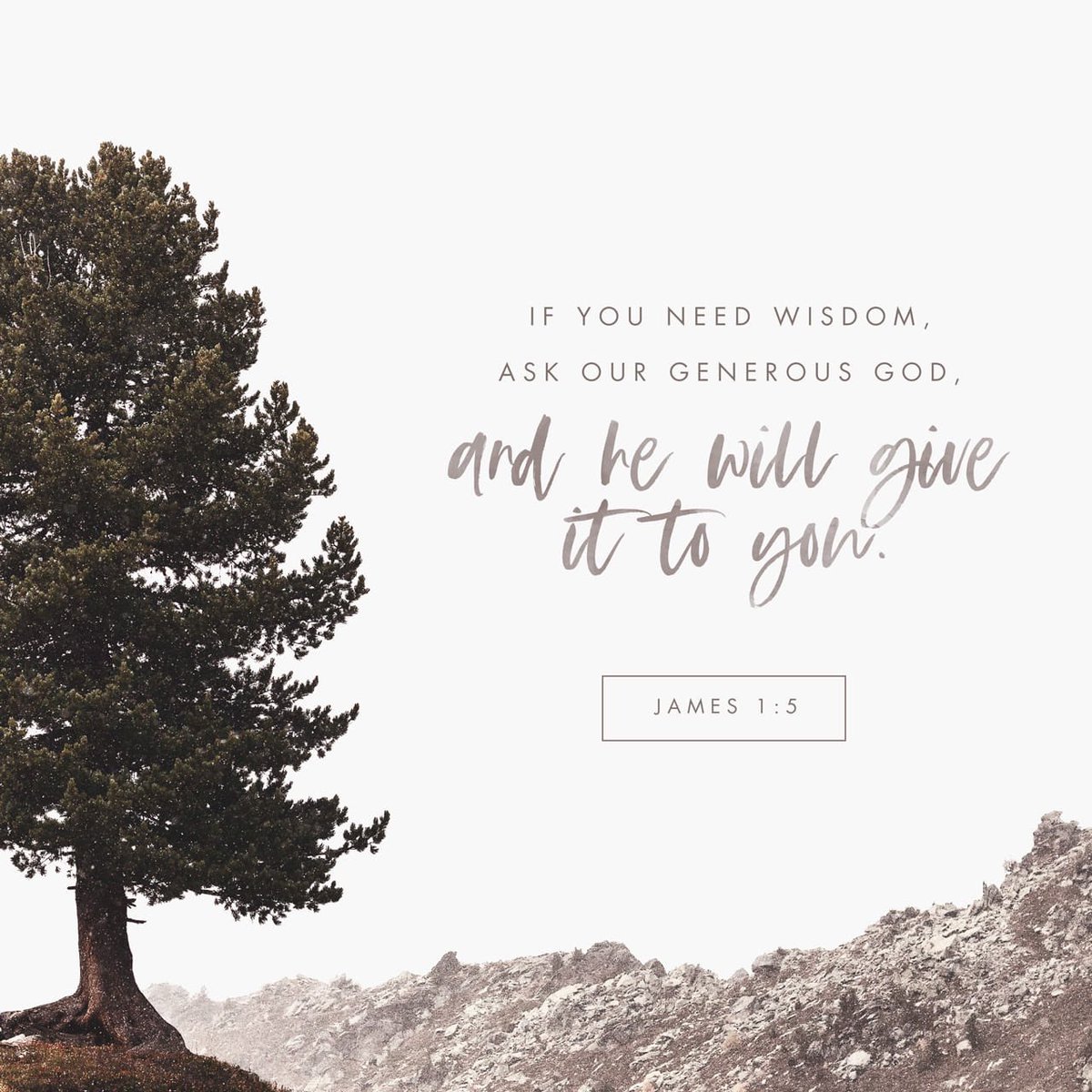 InstaEncourage's tweet photo. π βIf any of you lacks #wisdom, let him ask #God, who #gives generously to all without reproach, and it will be #given him.β James 1:5
#WisdomFromGod #James15 #ChristianEncouragement #GodMorningTuesday #VerseOfTheDay #devotional #DevotionalBook #ComeAndDwell #prayers
#Read π§΅ https://t.co/eyQp1RyuNr