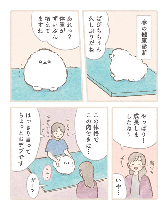 『春の健康診断 』꒰ ՞•ﻌ•՞ ꒱
#春のマンガ祭り #ぽぽち絵日記 