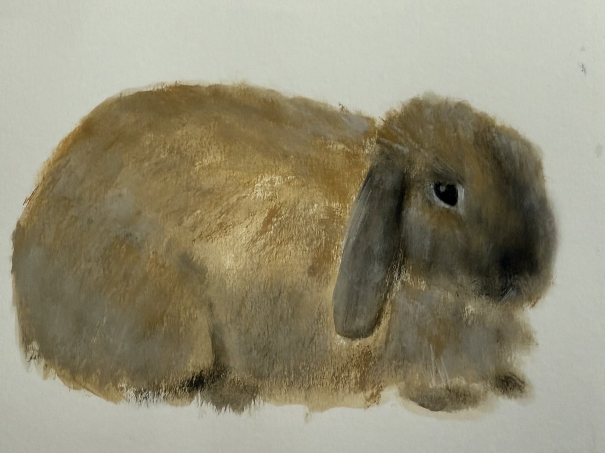 Someone asked me to paint their Rabbit called “Pancake”