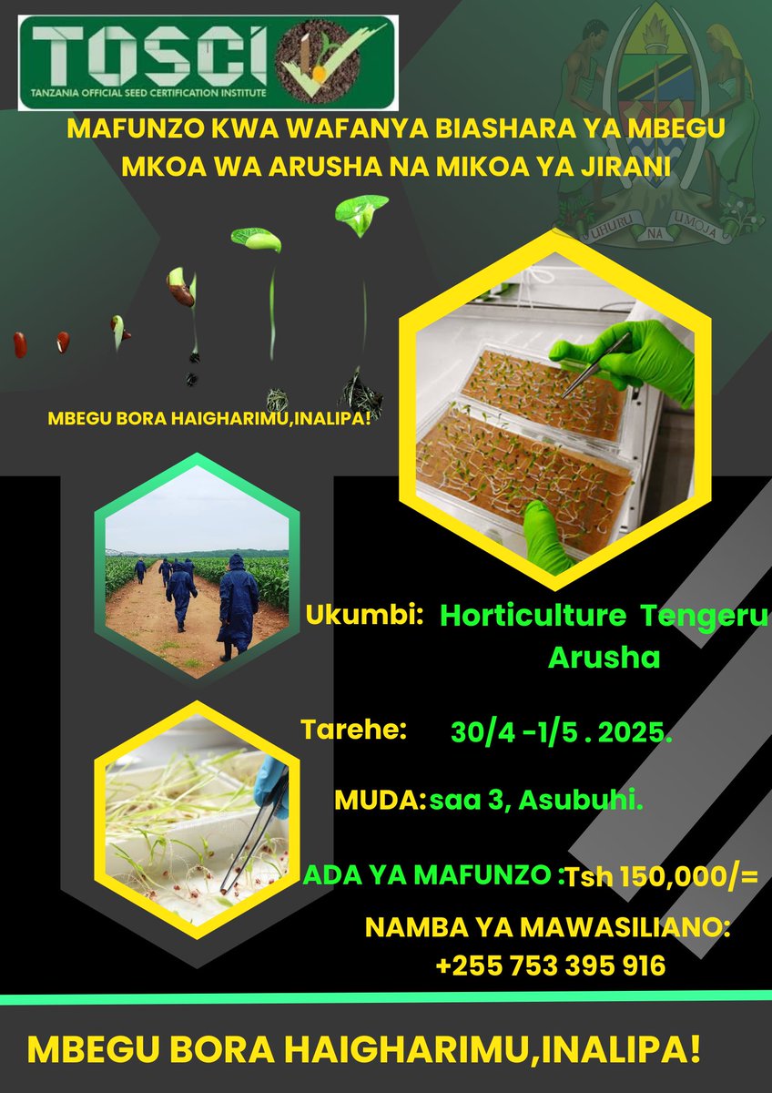 TOSCI OFFICIAL (@officialtosci) on Twitter photo 