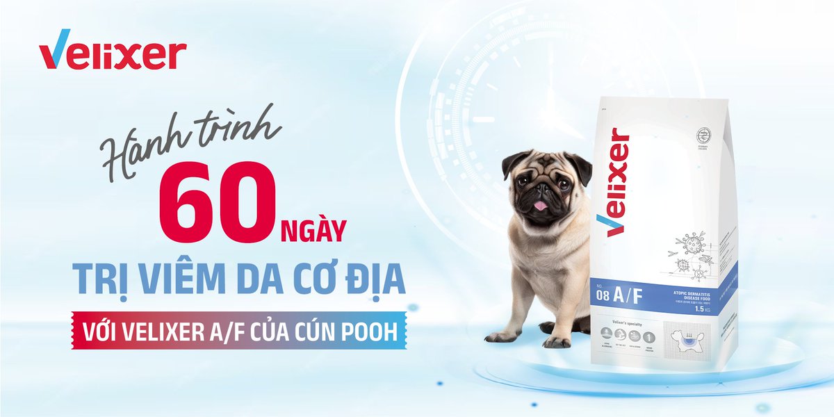 FusionGroup6's tweet photo. 🔥POOH'S 60-DAY JOURNEY TO TREAT ATOPIC DERMATITIS WITH #VELIXER A/F🐶
📌Results after 60 days:
✅Hair grows softer
✅Skin is no longer red and inflamed, no more symptoms of itching and damage
✅Overall health improved, Pooh is more active and happy https://t.co/0tHfKzbOJF