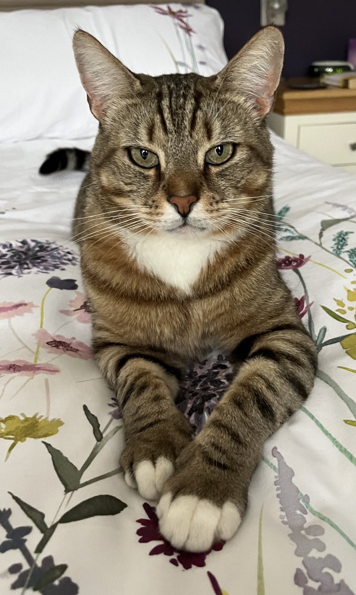 Glyn Howells tweet media