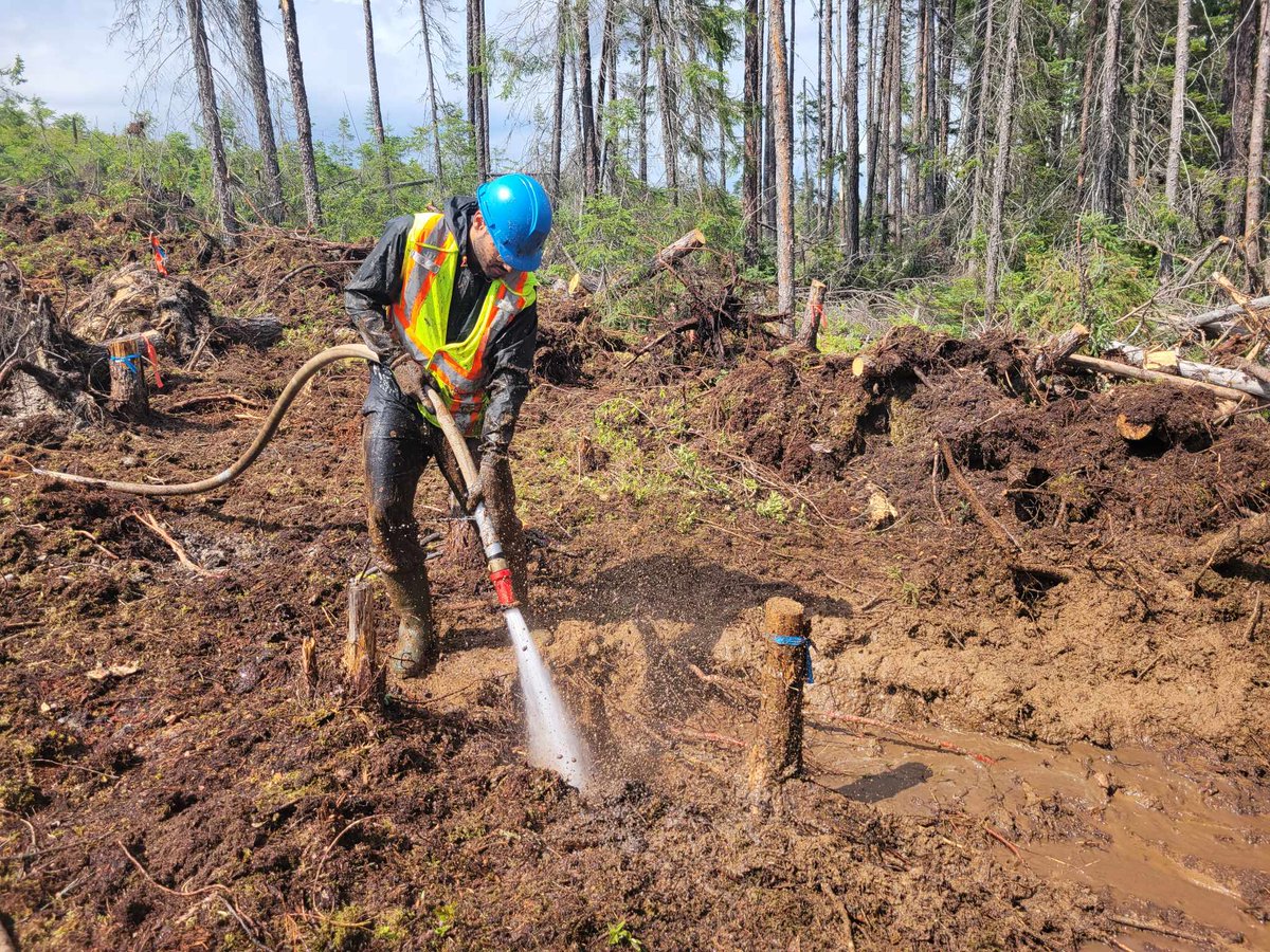 Martín Alcalá Pajares tweet media