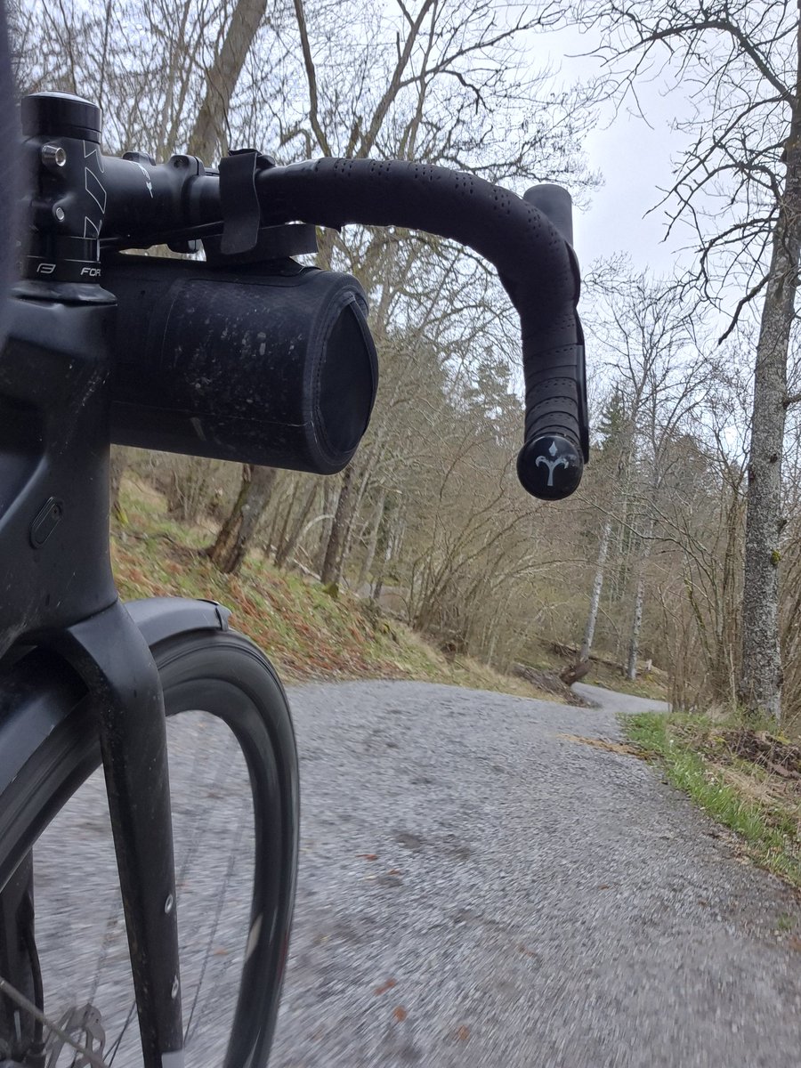 eperjon's tweet image. Kroppen börjar återhämta sig efter diskbråcksop. Fortfarande mycket att träna ikapp men dagens pass är ett steg i rätt riktning. Och ett trevligt älgmöte!