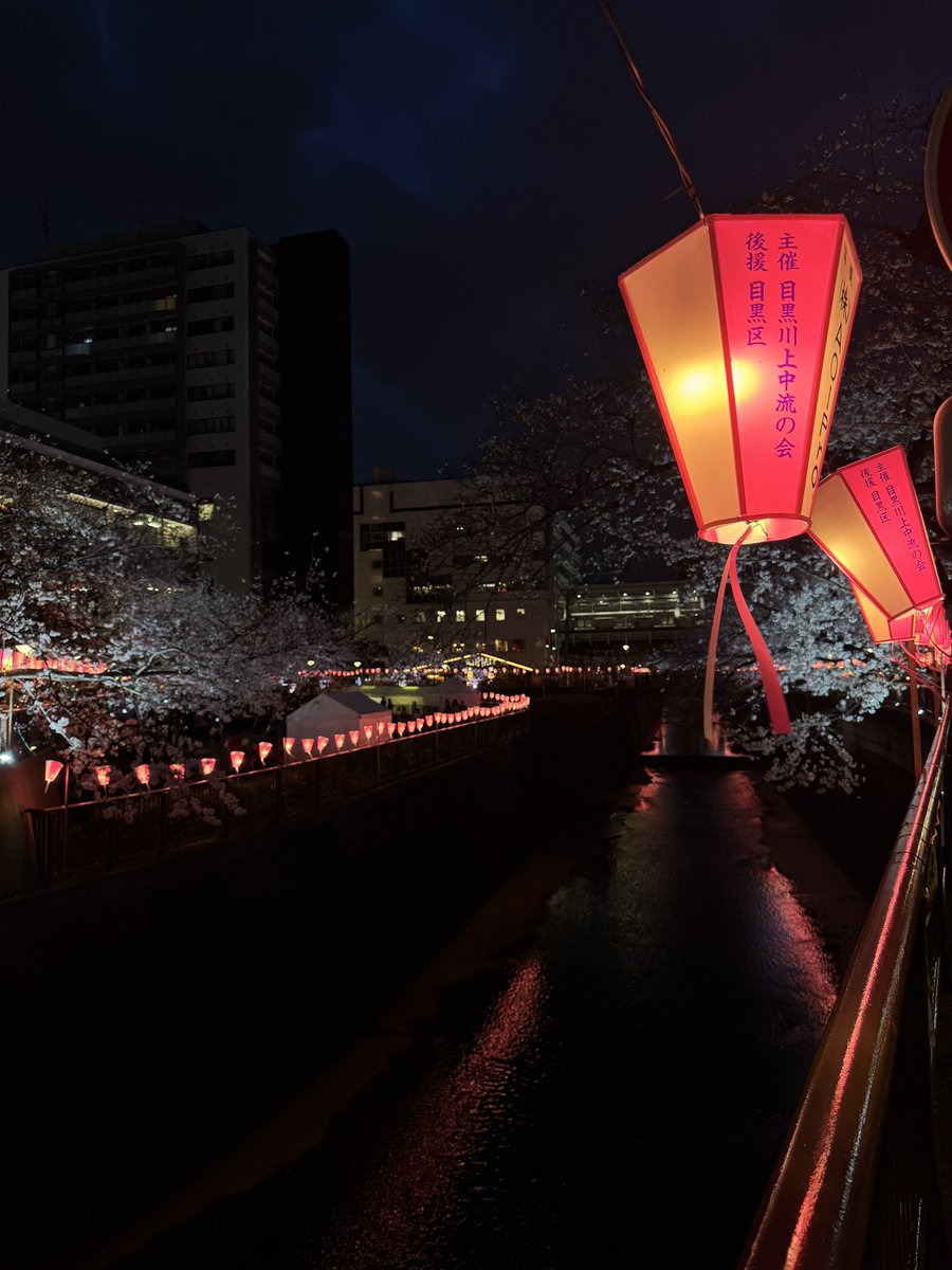 Arcanic's tweet image. Gm

I’m alive, and Japan is beautiful. 🌸