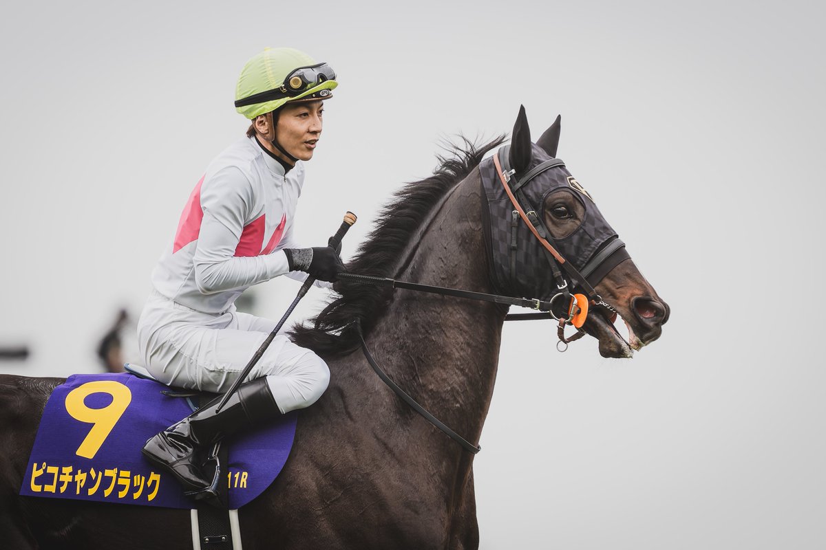 競馬ファン必見‼️超レア‼️第38回皐月賞優勝記念 きちんと勝ちたかったひいらぎ賞で まさかの2着に敗れてしまう