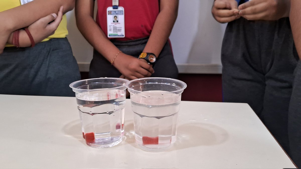 Neha05204678's tweet image. &quot;Watching my @BBPSMV students explore &amp;amp; discover through hands-on experiments is pure joy! Nurturing curiosity &amp;amp; creativity, one experiment at a time. Love their smiles! #funlearn @vividh87 @EduMinOfIndia @cbseindia29 @AIMtoInnovate @PrinSciAdvGoI @doescience