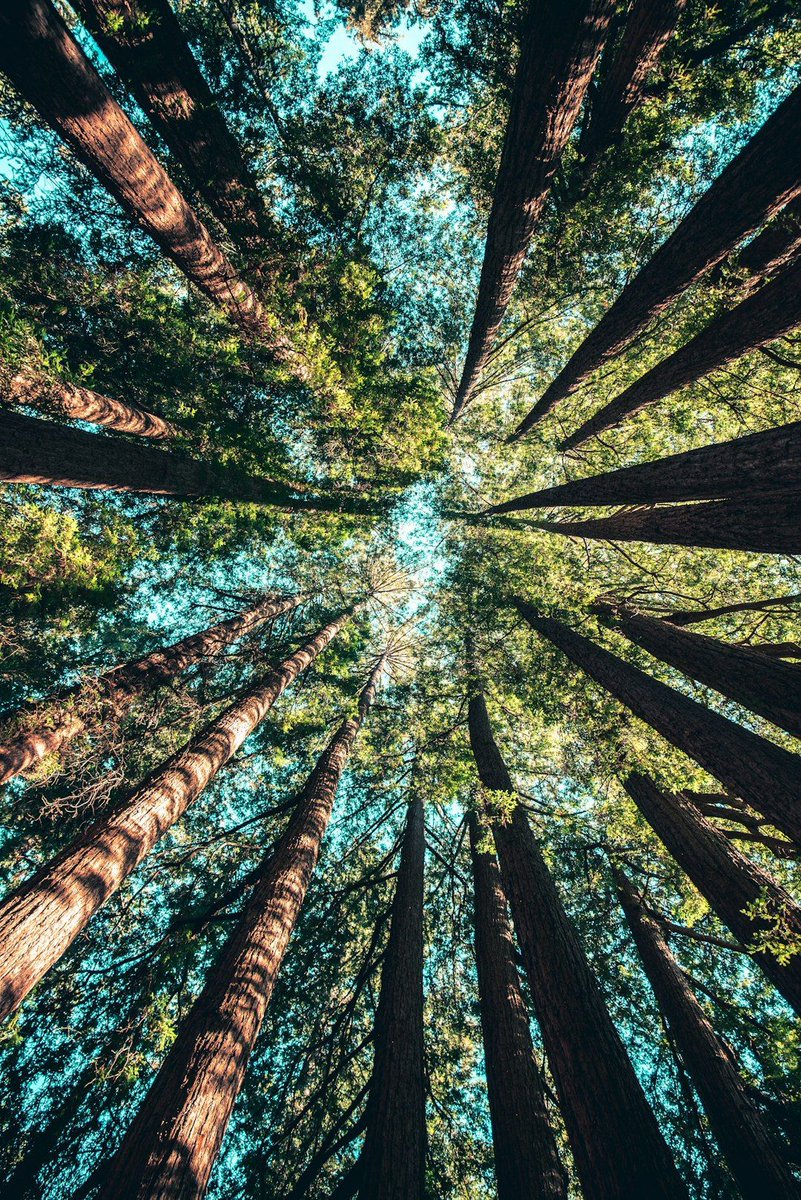 MakingMusic_UK's tweet image. Composer Chris Hutchings invites music groups this #EarthDay to look further upstream and go more green. Making Music members could also stand a chance to win our Green Award!
More: makingmusic.org.uk/news/music-rep…