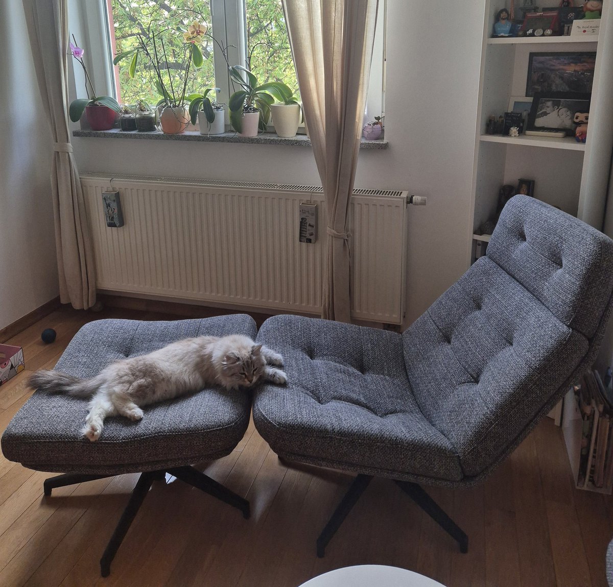 Fridin "težak život" 😁🥰