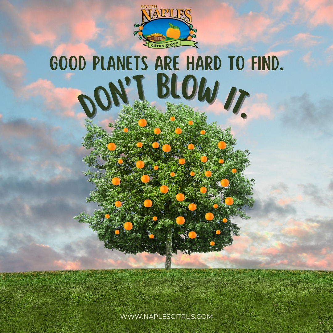 NaplesCitrus's tweet photo. Celebrate Earth Day &amp; support the local farmer's markets that that bring flavor to our lives. Eat fresh--from the earth, for the earth. 🌱🌍🍊

#earthday2025 #farmersmarket #naplesflorida #supportsmallbusiness #earthdayeveryday #motherearth #swfl #ifyouatetodaythankafarmer https://t.co/8U061DsVNZ
