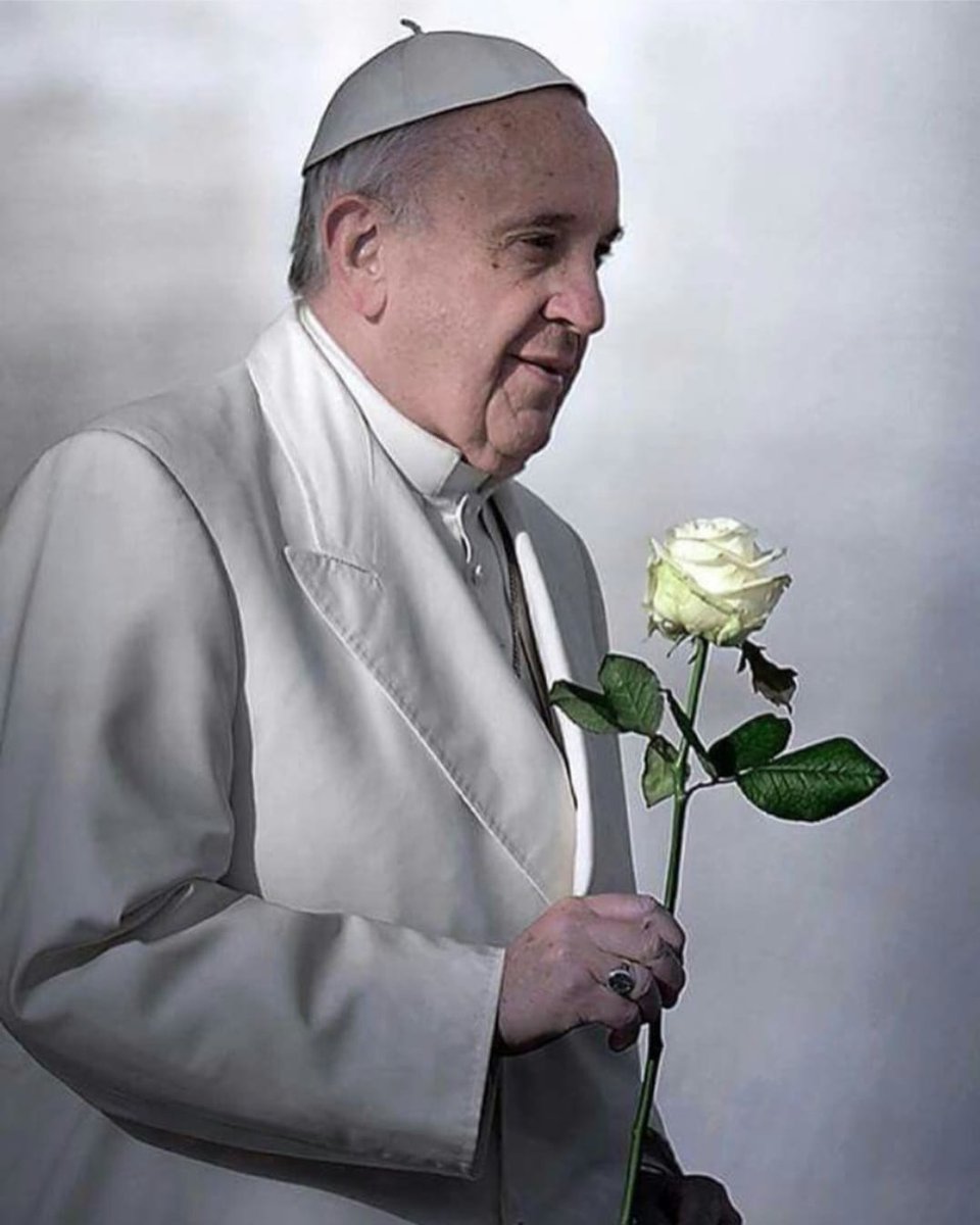 Le parole di Papà Francesco da  nn dimenticare neppure un attimo :  Nessuna pace é possibile senza un vero disarmo....