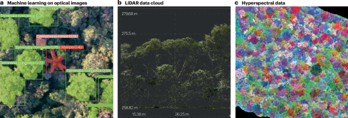 NatRevBiodiv's tweet photo. New online! Drivers and benefits of natural regeneration in tropical forests https://t.co/v5GRBlufVj https://t.co/Oz9JADjWvJ
