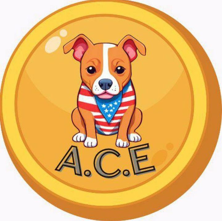 DanielMorgan200's tweet photo. @cryptojack Want to be part of a movement? @ACEthepitbull token is for those who believe in justice and transparency. Let’s hold the powerful accountable! #ACEtoken #JusticeMeme #CryptoActivism #BlockchainForChange https://t.co/Ij7Jn6WAGV