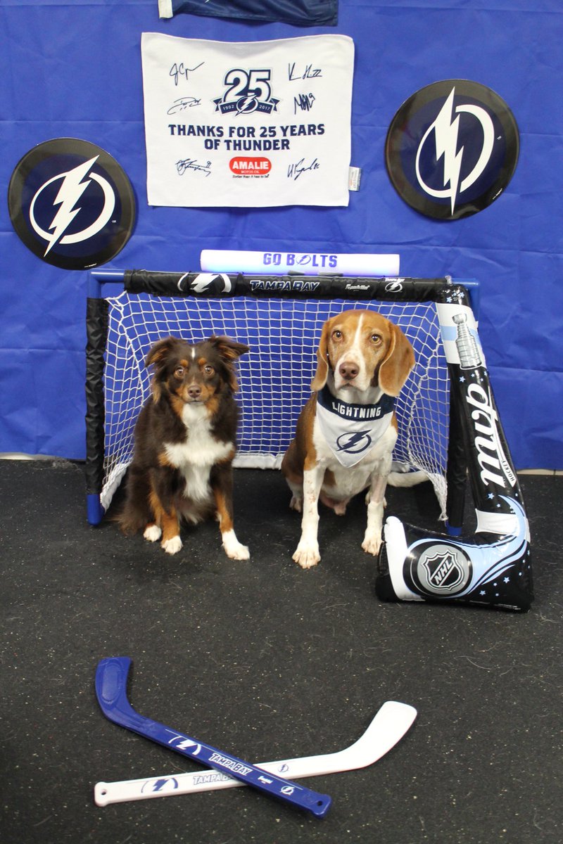 marlin1224's tweet photo. PLAYOFF TIME!! GO BOLTS!! https://t.co/CtgSLqnDBQ
