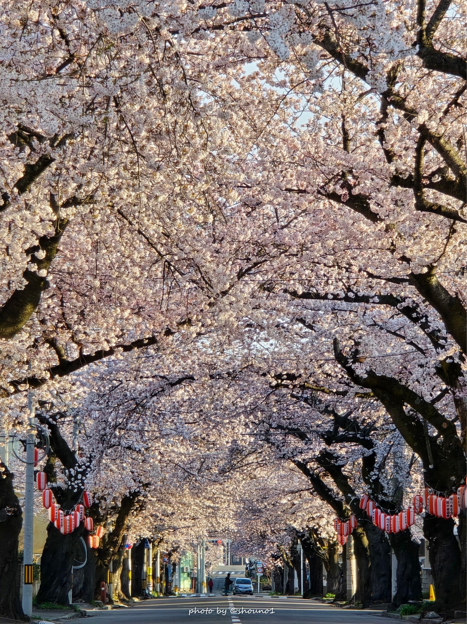 しょ－ on X: 