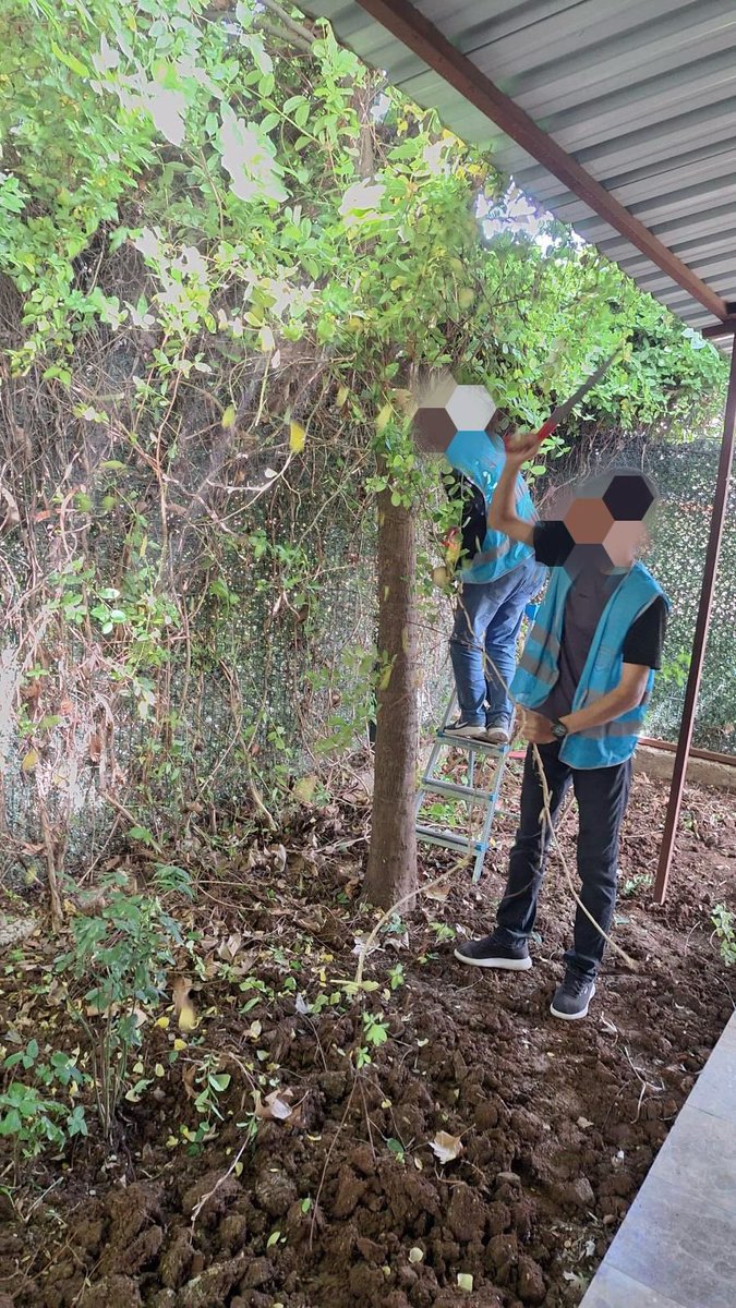 Toprağa dokunan eller, umuda tutunur.
Diyarbakır Denetimli Serbestlik’teki hükümlüler, Kayapinar YEDAM bahçesini sevgiyle düzenlediler. Bağımlılıkla mücadelede atılan her adım, yeni bir başlangıçtır. 
Emeği geçen <a href="/diyarbakirdsm/">Diyarbakır Denetimli Serbestlik Müdürlüğü</a> müdürü  <a href="/Sinan_yasar_/">sinanyaşar</a> yürekten teşekkür ederiz.