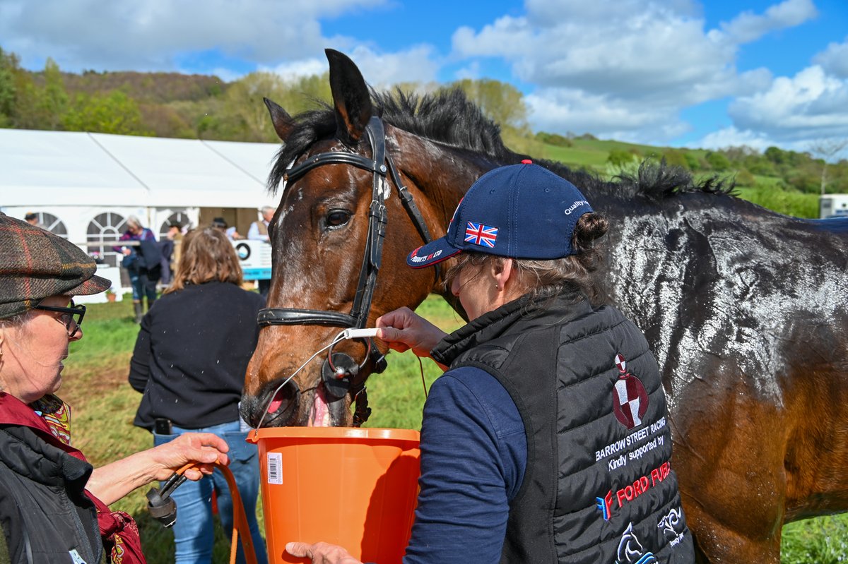 Congratulations to Ultimate Survivor and the Moonrakers Partnership for a very strong second place by half a length in the Restricted at <a href="/TauntonValeP2P/">Taunton Vale Pt2Pt</a>. Ridden by Rob David in the fastest race of the day. <a href="/GBpointing/">GBpointing</a>