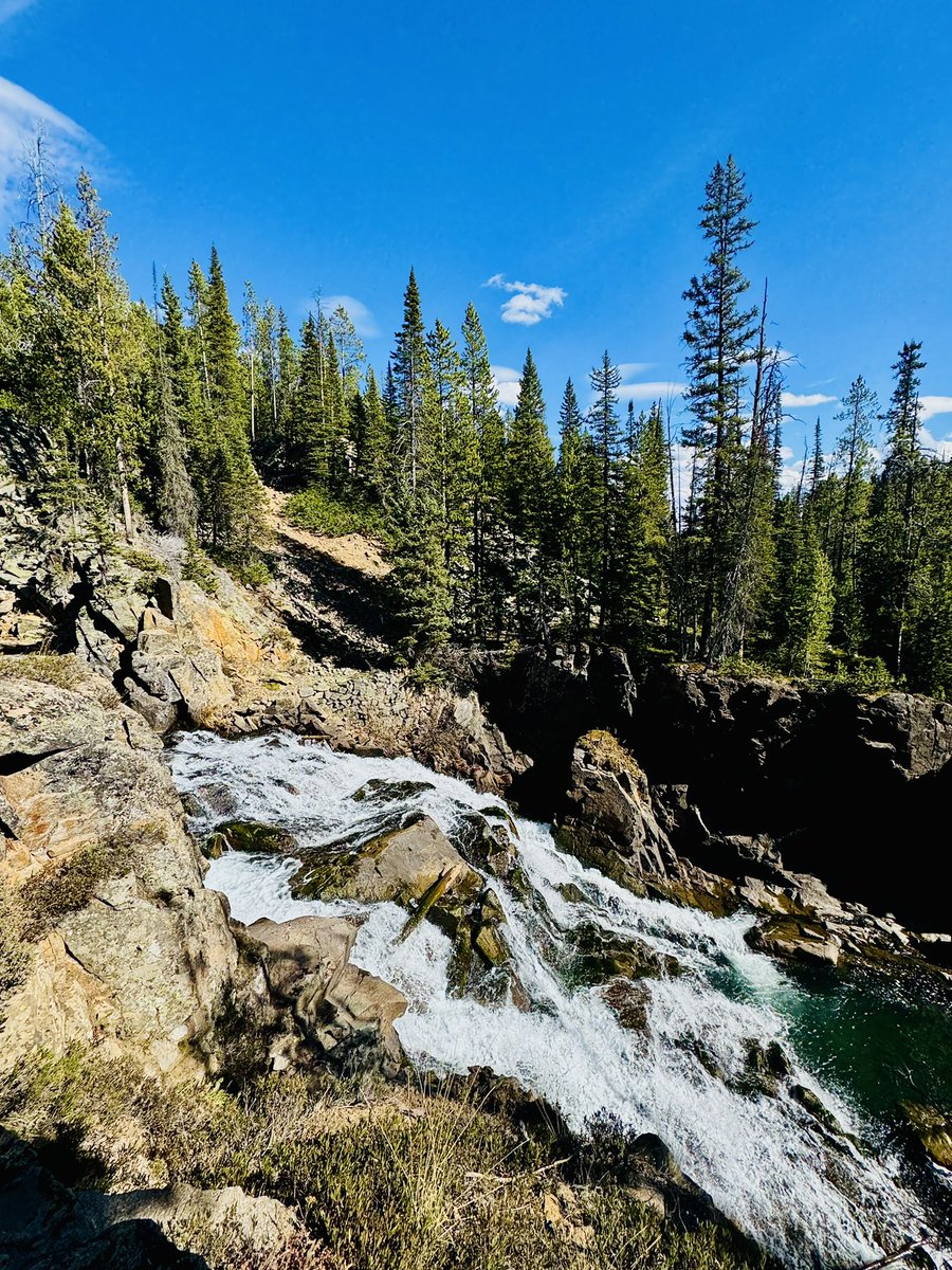 D Miller tweet media