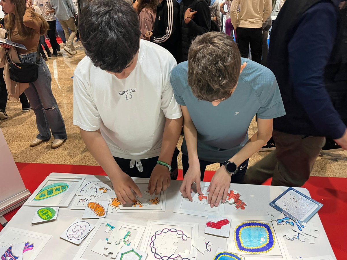 VivianCG_Lab's tweet image. ¡CABIMER está en la #23FeriaCiencia! 🔬🧪🧠 Visítanos en el STAND 51 y descube cómo la investigación puede cambiar vidas. Experimentos, ciencia y pasión 👩🔬👨🔬
📅 Del 24 al 26 de abril 2025
📍 FIBES, Sevilla (STAND 51)
@FeriaCiencia
@fibesevilla
@cabimer