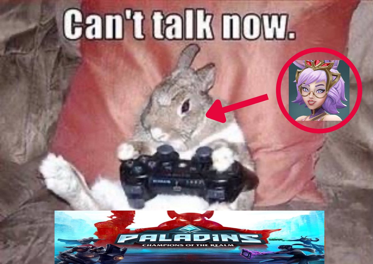 #Paladins