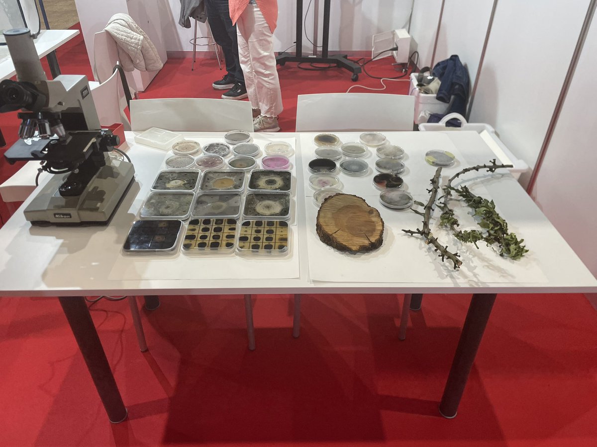 𝙳𝚊𝚟𝚒𝚍 𝚁𝚞𝚊𝚗𝚘-𝚁𝚘𝚜𝚊 (@druanorosa) on Twitter photo Gran día en la Feria de la Ciencia!! <a href="/IfapaJunta/">IFAPA</a> <a href="/jmbapi/">Jose-Maria Barcia-Piedras | Researcher</a> <a href="/AvivarLau/">avivar.Lau</a> Gran día en la Feria de la Ciencia!! <a href="/IfapaJunta/">IFAPA</a> <a href="/jmbapi/">Jose-Maria Barcia-Piedras | Researcher</a> <a href="/AvivarLau/">avivar.Lau</a>