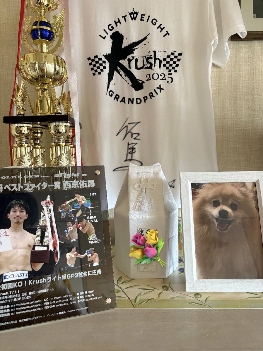 eFigtht 様よりベストファイター賞の盾が届きました！
また嬉しい報告できるよう上目指していきます🚀