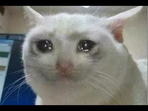 baronessbrod's tweet image. Me, sitting at work and realizing I'm seeing Ghost in my city in 18 days: