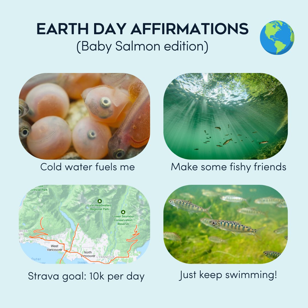 PACIFIC SALMON FOUNDATION (@psf) on Twitter photo 🌎 On Earth Day we’re inspired by the incredible journey of Pacific salmon! All across British Columbia juvenile salmon are currently migrating out to the ocean.
Let’s protect our rivers, oceans and ecosystems, because when salmon thrive, so does everything around them! 🌊🌲 🌎 On Earth Day we’re inspired by the incredible journey of Pacific salmon! All across British Columbia juvenile salmon are currently migrating out to the ocean.
Let’s protect our rivers, oceans and ecosystems, because when salmon thrive, so does everything around them! 🌊🌲