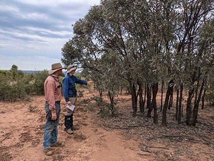 Balancing business with biodiversity. 🌿

PhD student Brodie Crouch is on a mission to get the most out of productive land, building biodiversity and business profits all at once.🐝🦋🌾

Learn more about how he's accomplishing this and his goals below 👇 
bit.ly/43PEQw9