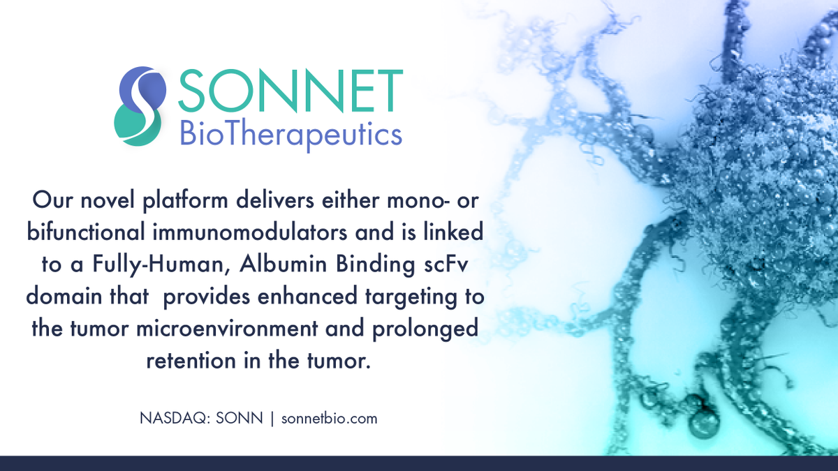 SonnetBio's tweet image. Our novel platform delivers either mono- or bifunctional immunomodulators and is linked to a Fully-Human, Albumin Binding scFv domain that provides enhanced targeting to the tumor microenvironment and prolonged retention in the tumor.

$SONN #Oncology #SolidTumors