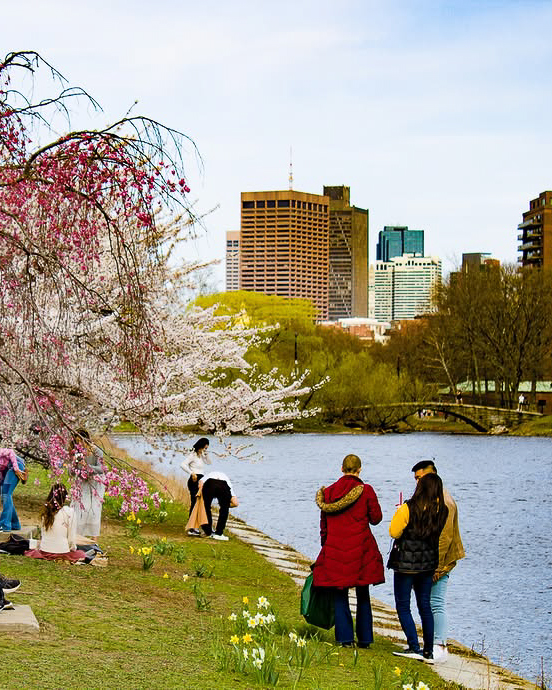 Hotel Commonwealth tweet media