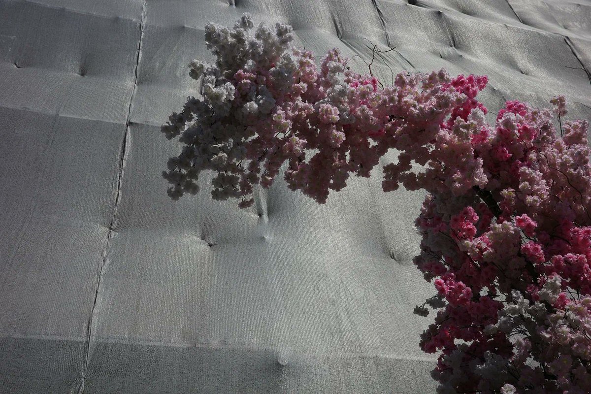davydyoung's tweet photo. fauna &amp; flora https://t.co/zo5EcOxMFQ