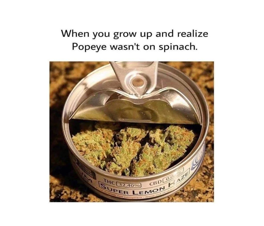 MrNiceGuyStores's tweet photo. 🤭💨💨

#WeedLovers #cannabis #weedlife https://t.co/Er0DlpzX2P