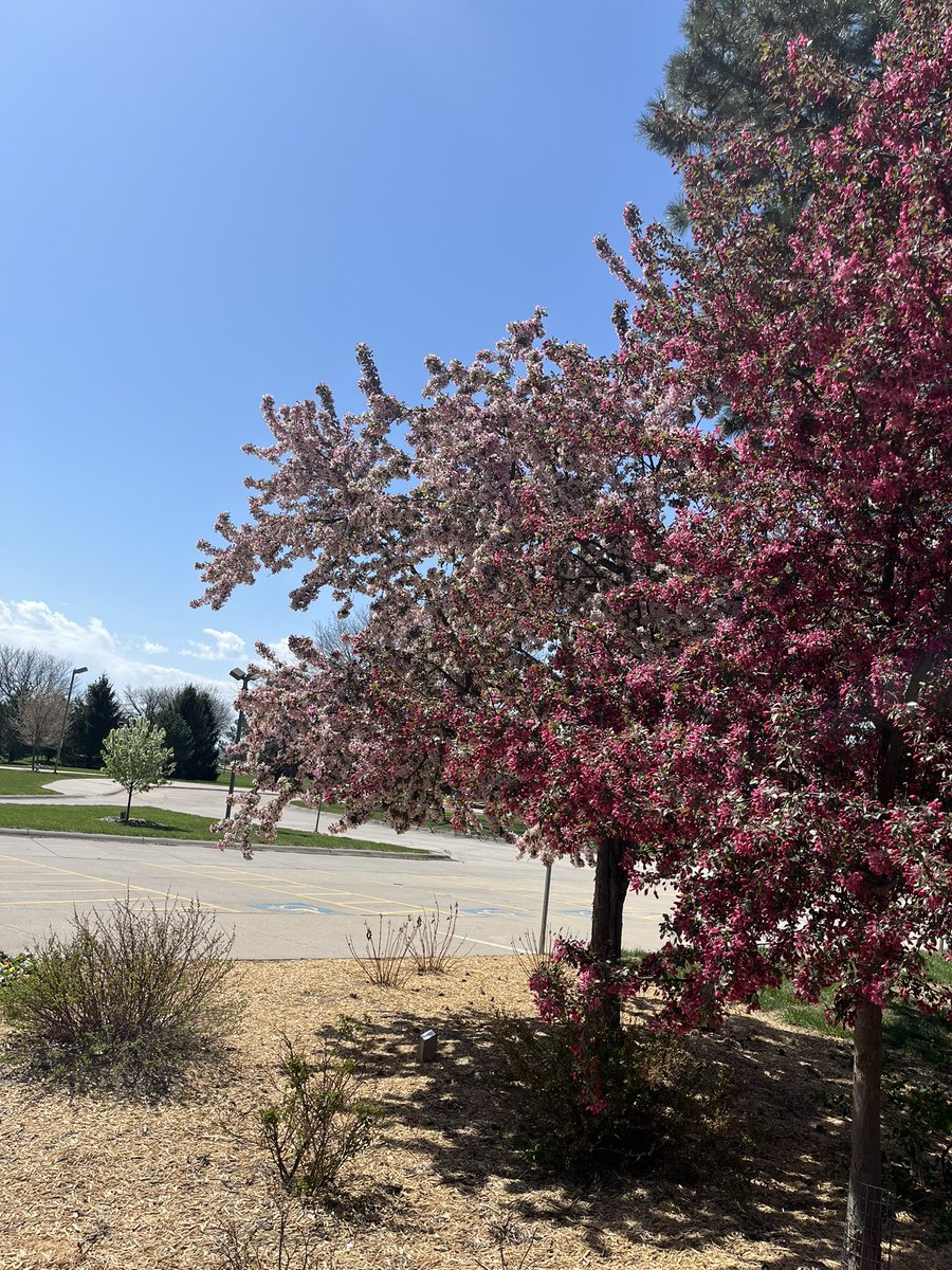 Happy EARTH 🌎 DAY 

#GoRaiders