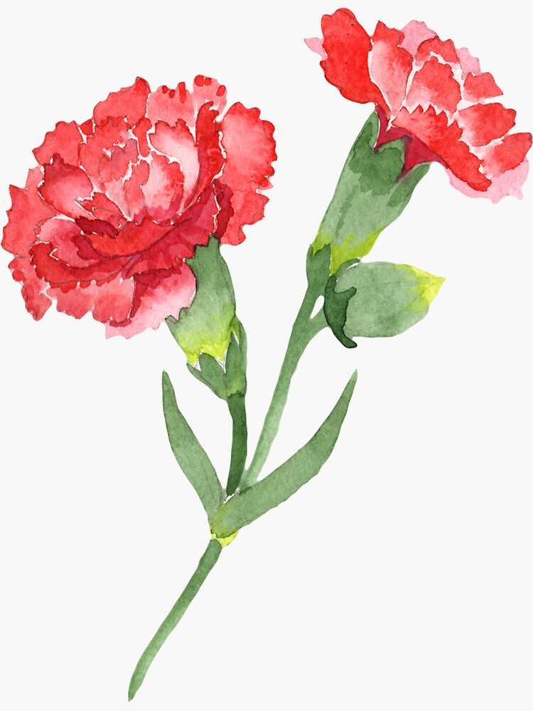 Amigas biólogas, amable recordatorio de que esta semana es la fecha perfecta para explicar la herencia genética codominante del color en flores con motivo del Día de San Jorge, el Día del ADN y el aniversario de la Revolución de los Claveles.

¡Besos, libros y flores para todas!