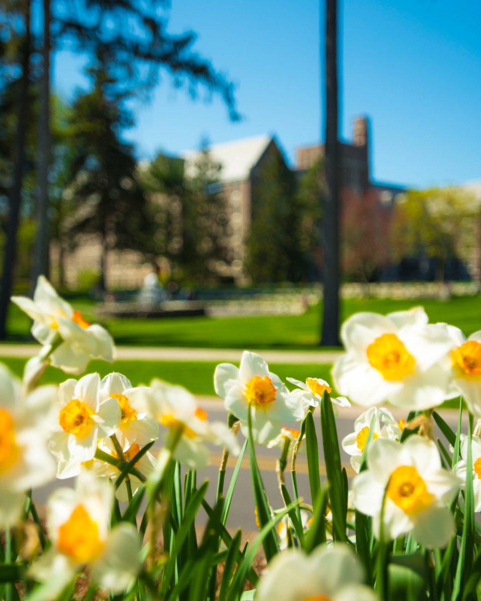 Nazareth University tweet media