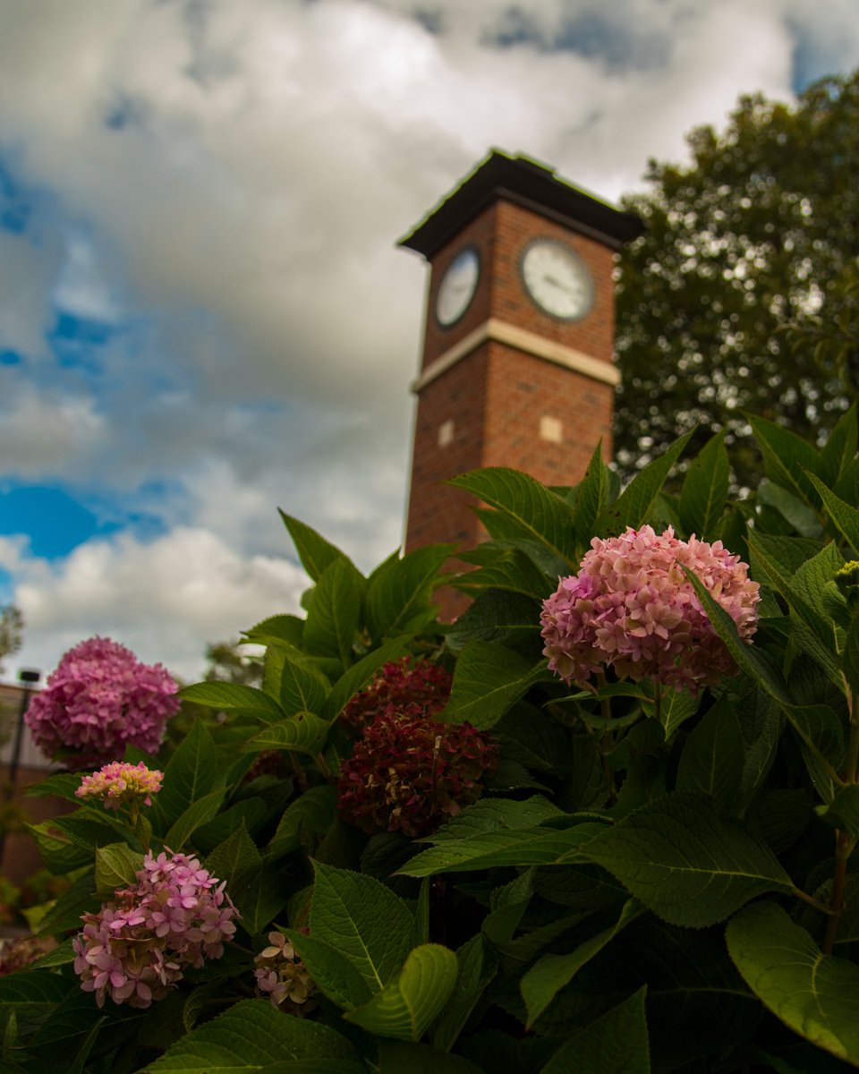 Nazareth University tweet media