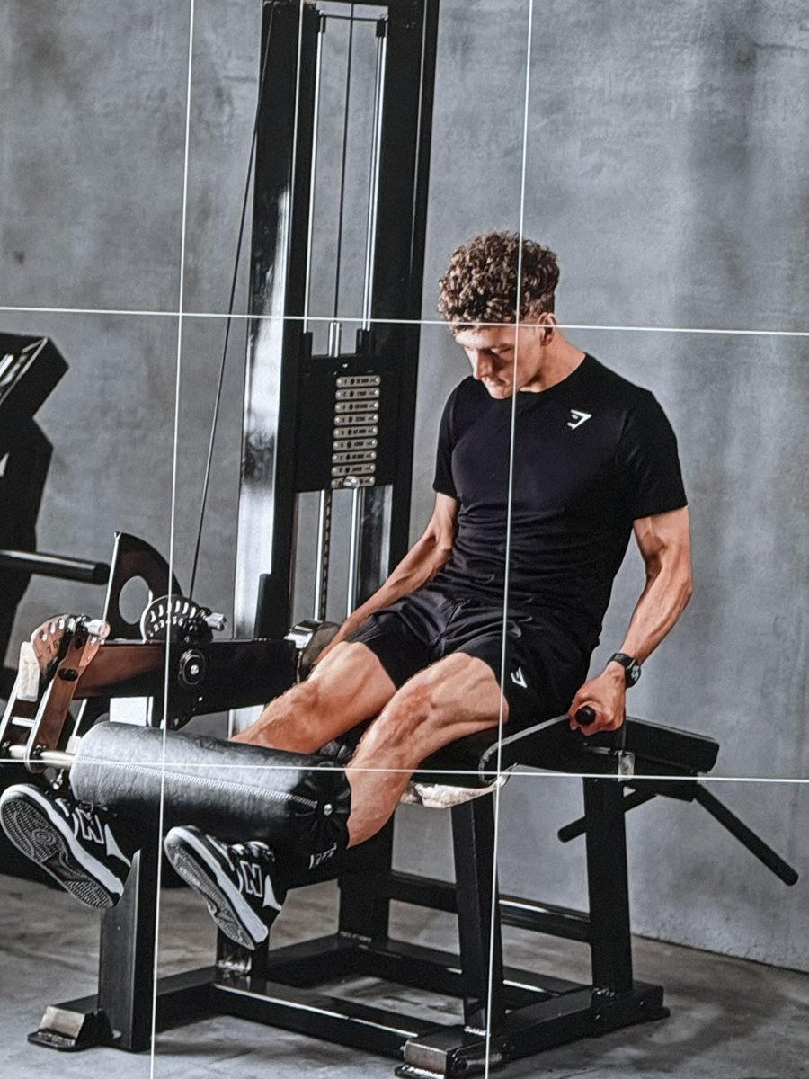 Chippy 🌳 tweet media