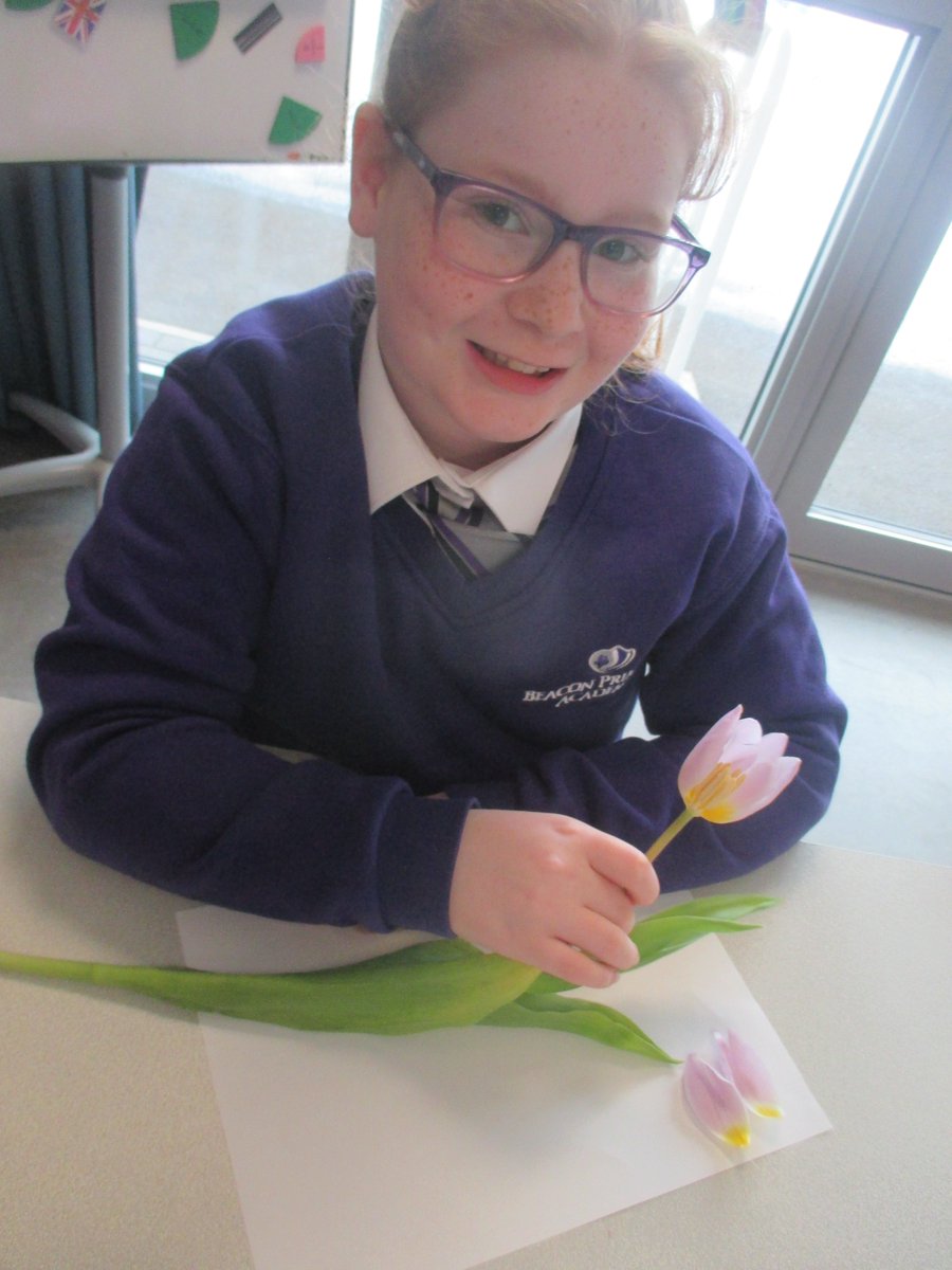 Beacon Primary Academy tweet media