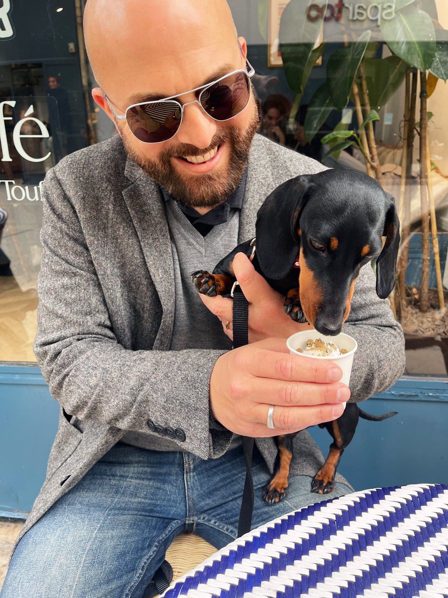 ceseph's tweet photo. 3 ans: Joyeux anniversaire Tootsie 🐾🎂🥰 #HappyBirthday #tuesdayvibe #photo #photography #teckel #teckellovers #teckellife #touffupetstore https://t.co/oSnhAdzjKA