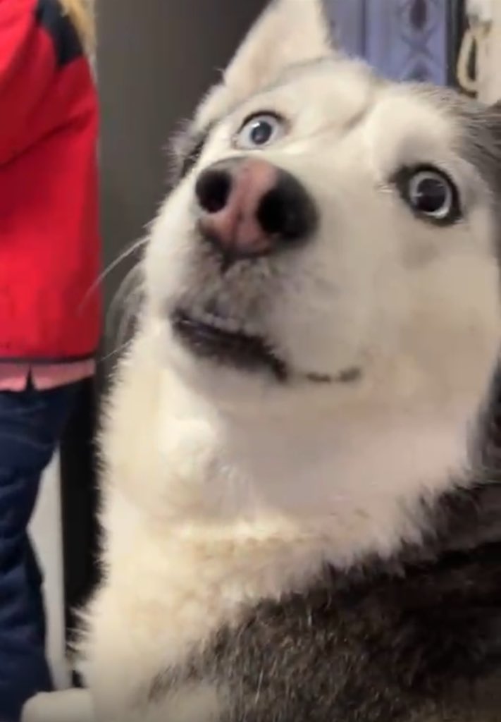 🌸🦋✨🌷🐝 Mara 🦗🌿💮🐞🏵️ tweet media