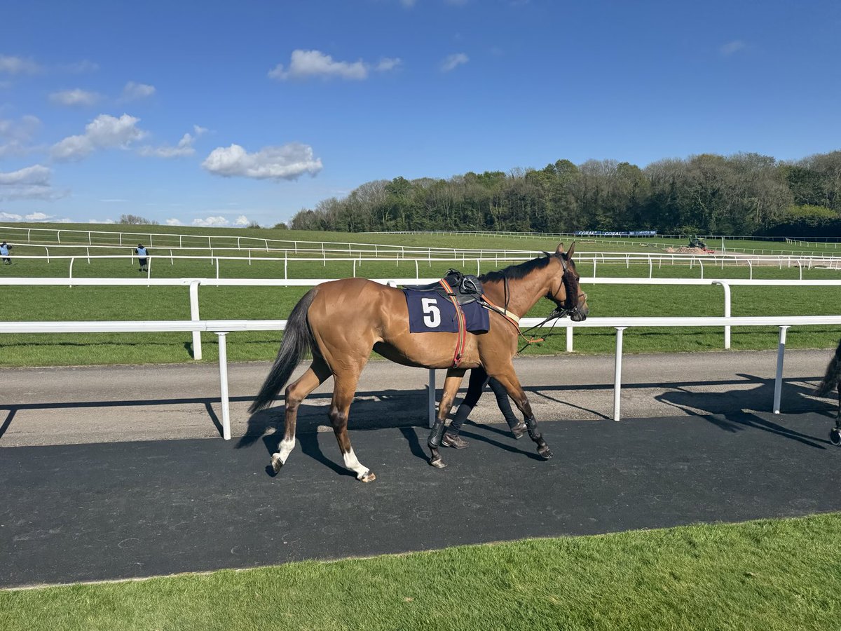 Had a great day out yesterday ⁦<a href="/Chepstow_Racing/">Chepstow Racecourse</a>⁩ to see our lovely horse #MattieRoss in her last jumps race before a well earned retirement. Massive thanks to Richard, Jo and the team ⁦<a href="/RTPhillips1/">Richard Phillips Racing</a>⁩for looking after us so well over the last few years… ❤️