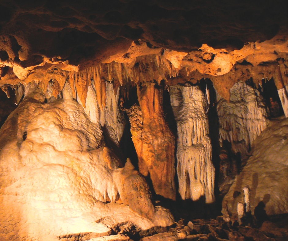 Florida Humanities tweet media