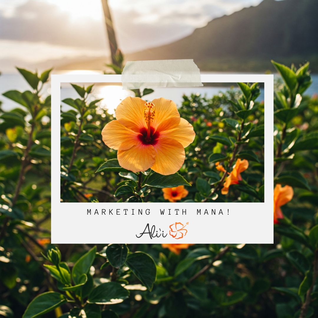 aliidesign's tweet image. At Ali‘i Marketing by Design, we blend strategy, creativity, and aloha to help your brand stand out—and get real results. From websites and branding to full-scale campaigns, we specialize in marketing that means something. aliidesign.com

#AliiDesign #StrategicDesign